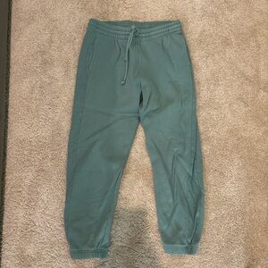 Aritzia TNA Cozy Fleece Jogger Pants